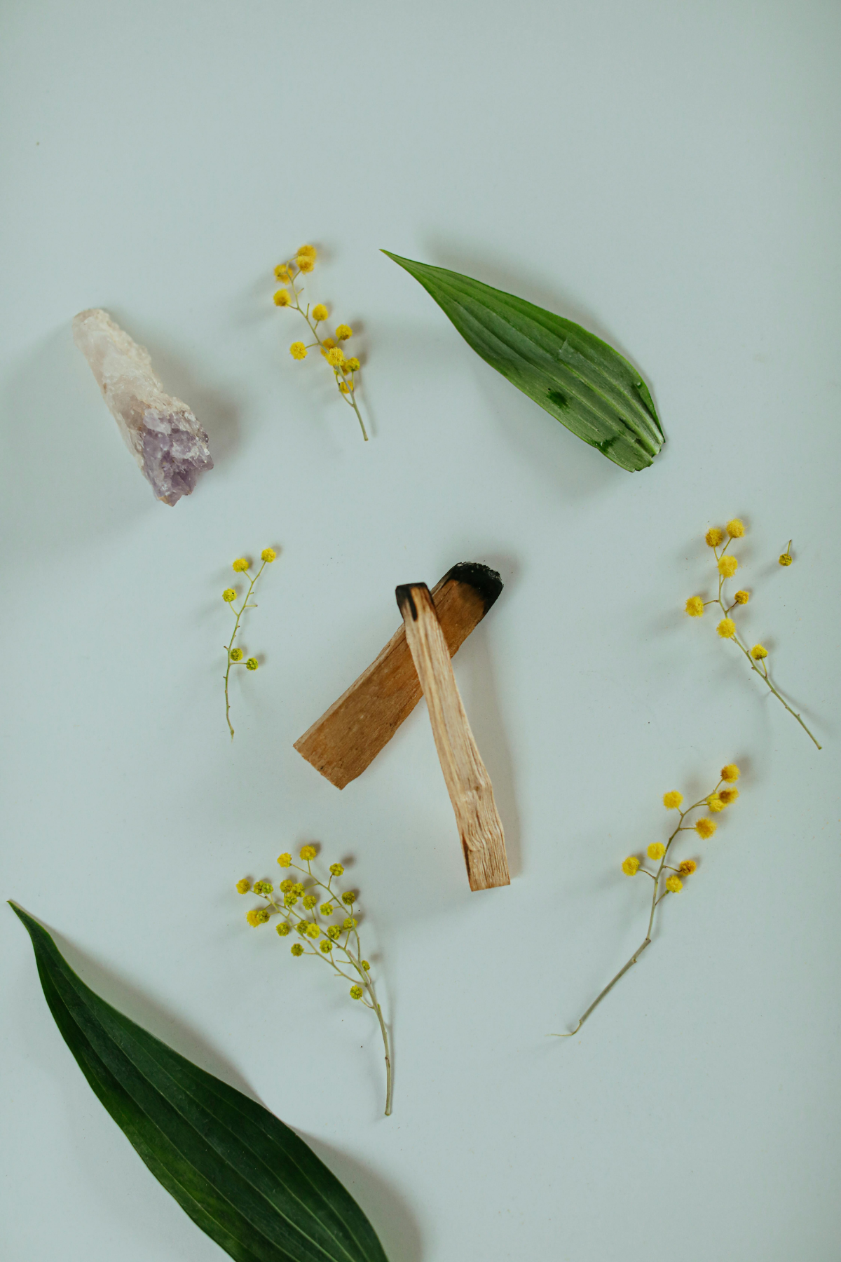 Palo Santo & Vibes
